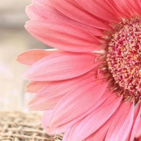 Meet your Posher, Lisa - Picture 2 of 2